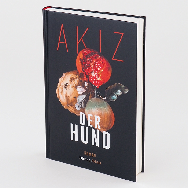 Der Hund Bücher Hanser Literaturverlage